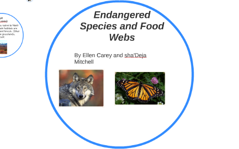 Endangered Species and Food Webs by shadeja mitchell on Prezi Biology Diagrams