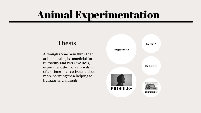 Animal Experimentation by Makayla Plourde