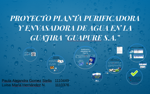 Proyecto Planta Purificadora Y Envasadora De Agua En La Gua By Luisa Hernandez On Prezi Next