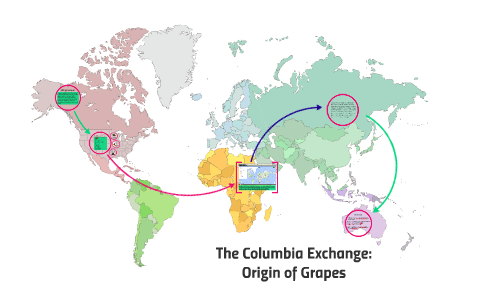 Origin of Grapes by Cameron Lamson on Prezi