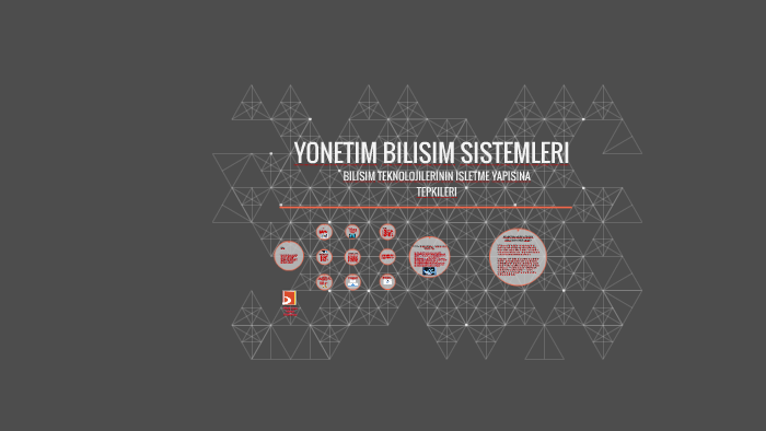 Yonetim Bilisim Sistemleri By Alper Haçin
