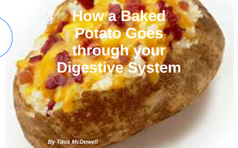 How A Baked Potato Goes Through Your Digestive System By T Mcdowell On 