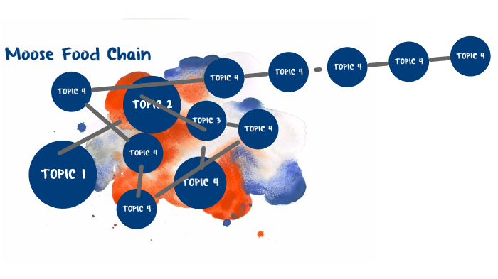 Moose Food Chain by Bradey Koliba on Prezi Next