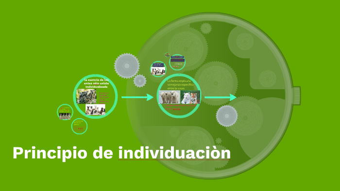 Principio de individuaciòn by Jusseppe Mejía M on Prezi