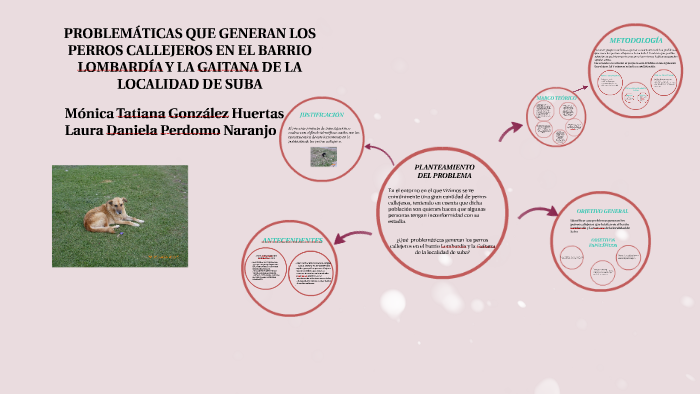 PROBLEMATICAS QUE GENERAN LOS PERROS CALLEJEROS EN EL BARRIO by daniela