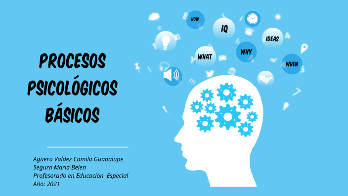 Procesos Psicológicos Básicos By Camila Guadalupe Agüero Valdez On Prezi