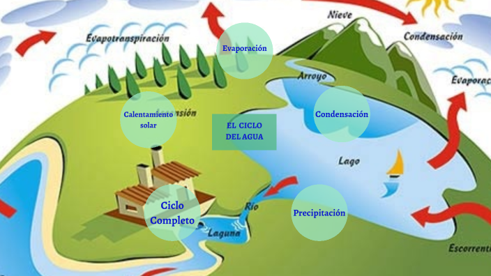 ciclo del agua completo