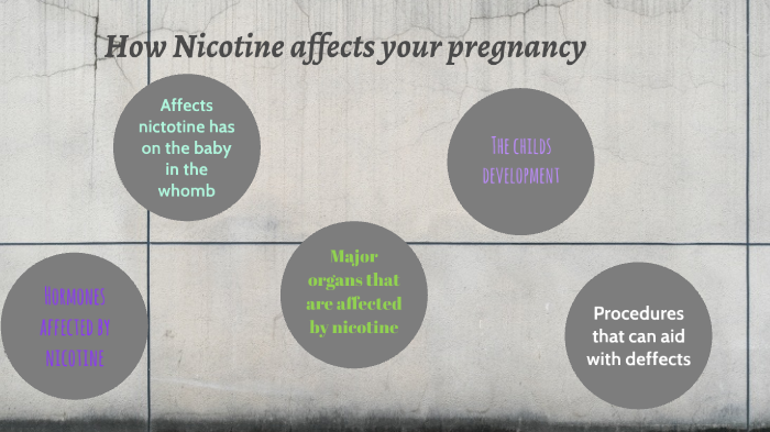 How Nicotine affects your pregnancy by bronwyn rutherford-simon on Prezi
