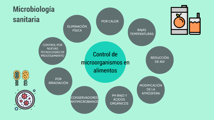 Mapa control de microorganismos by Andrea Martínez Flores