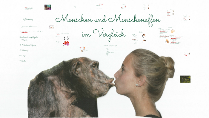 Menschenbilder Im Vergleich