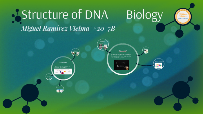 Structure of DNA by Miguel Ramirez on Prezi