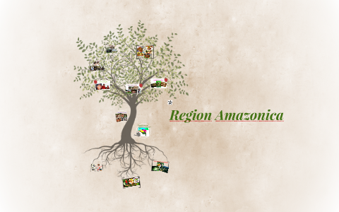 Region Amazonica by sara paola pino alvarez on Prezi