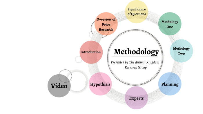 Methodology Animal Kingdom by Animal Kingdom Galileo on Prezi