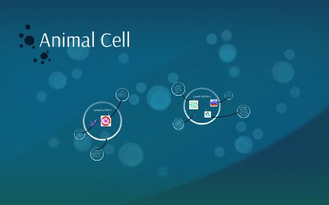 Animal Cell by Justin Novotny on Prezi