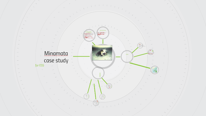 Minamata disease facts image