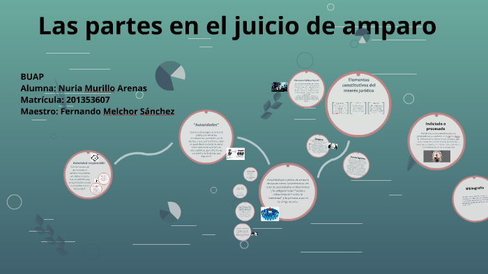 Las partes en el juicio de amparo by Nuria Murillo Arenas on Prezi