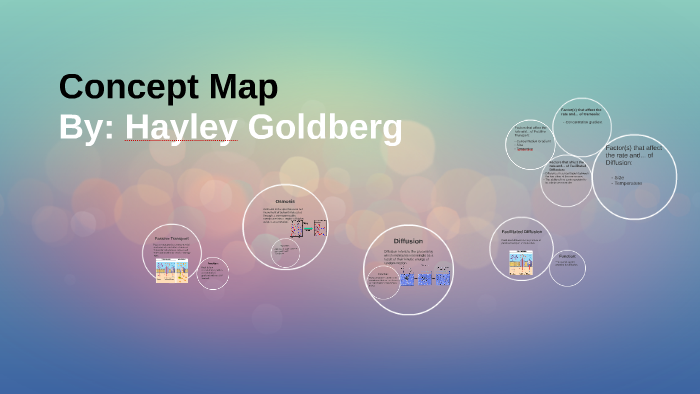 Concept Map by Hayley G on Prezi