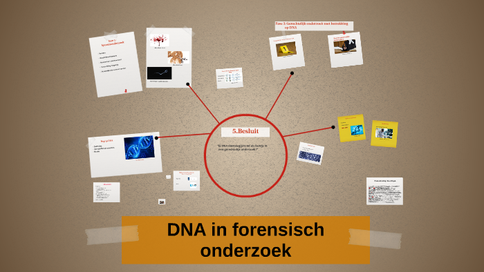 DNA in forensisch onderzoek by zeno adriaens on Prezi