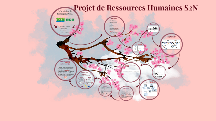 Projet de Ressources Humaines S2N by Nawel Perivier on Prezi