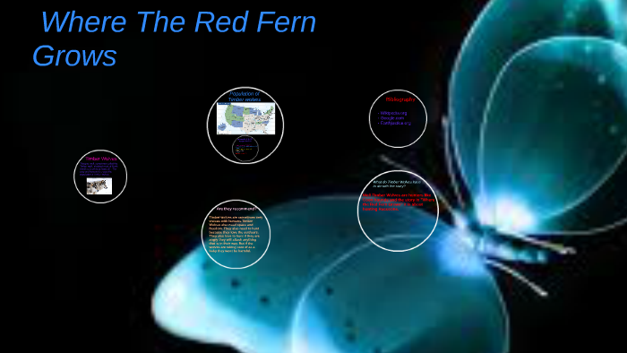 Research: Where The Red Fern Grows by anahy sanchez on Prezi