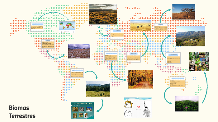 Biomas by on Prezi