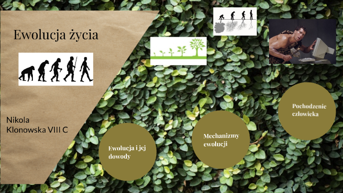 Ewolucja życia by Nikola Klonowska on Prezi
