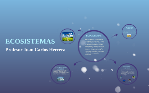 ECOSISTEMAS by Valeria Montaña on Prezi