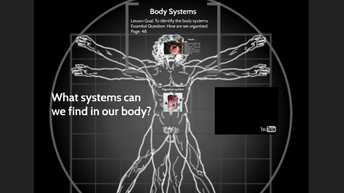 Body Systems (5th grade) by Cesar Meza