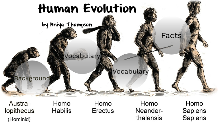 T human. Антропогенез. Эволюция человека доказательства. Эволюция роста человека. Хомо Экономикус. Once Human - Evolution (2017).