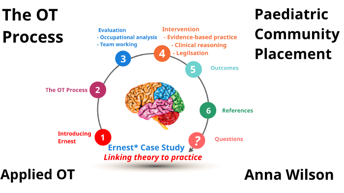 OT Process Placement Version By Anna Wilson On Prezi