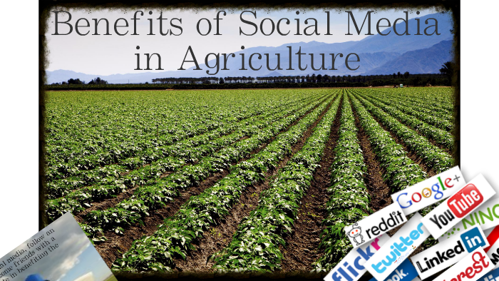 social media in agriculture in india case study