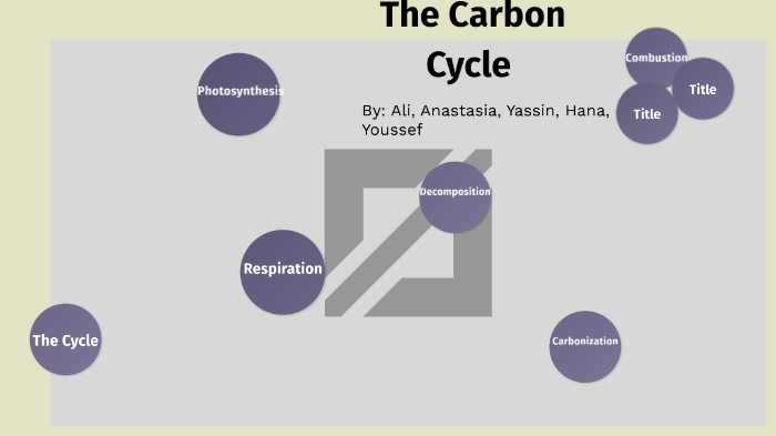 Carbon Cycle by Ali Sallam on Prezi
