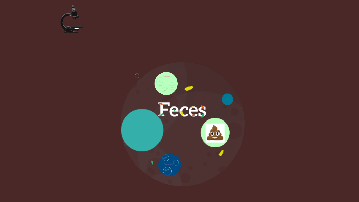 Formation of Feces by Megan Lowrey on Prezi