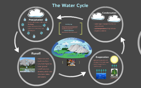 The Water Cycle by Aisha Lau on Prezi