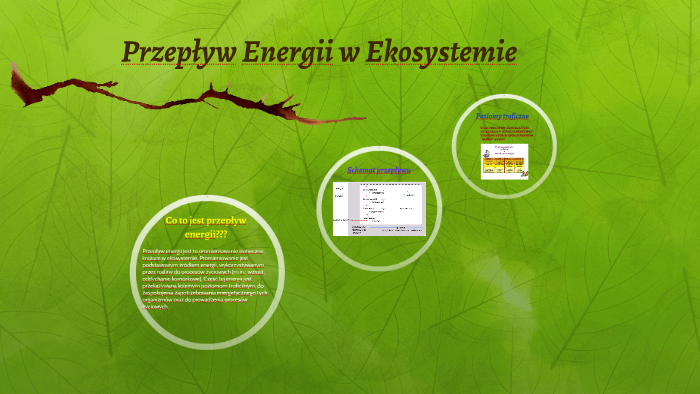 Przepływ Energii w Ekosystemie by LukiDan Nowak on Prezi