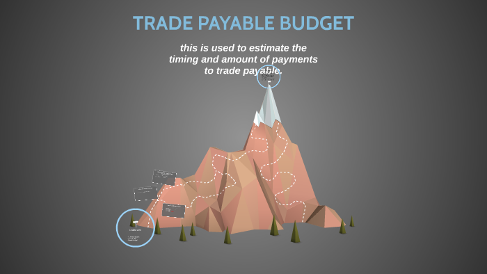 trade-payable-budget-by-tevin-duodu