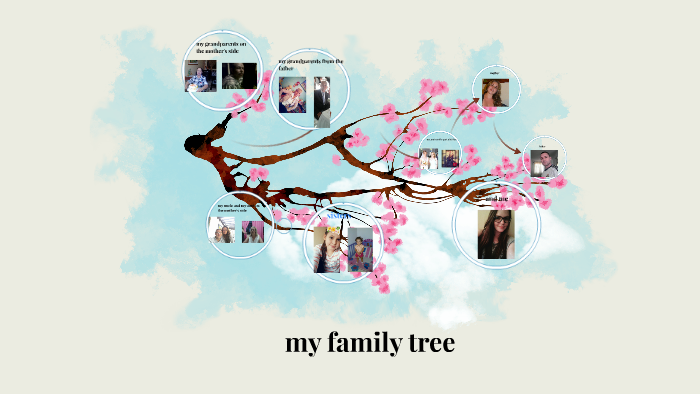 my family tree by jennifer betancur on Prezi