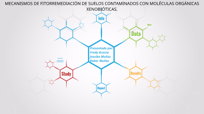 Mecanismos De Fitorremediación De Suelos Contaminados Con Moléculas