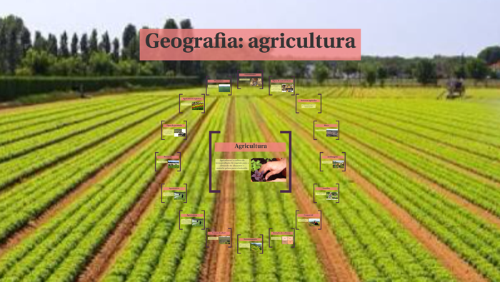 Geografia Agricultura By Beatriz Hoffmann On Prezi