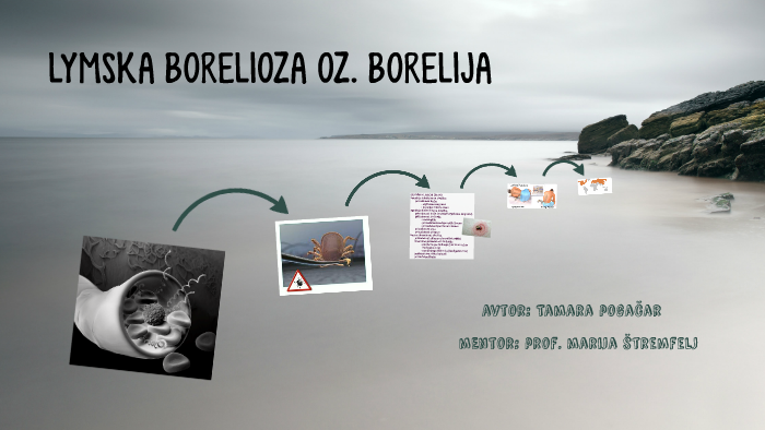 LYMSKA BORELIOZA OZ. BORELIJA by Tamara Pogačar on Prezi