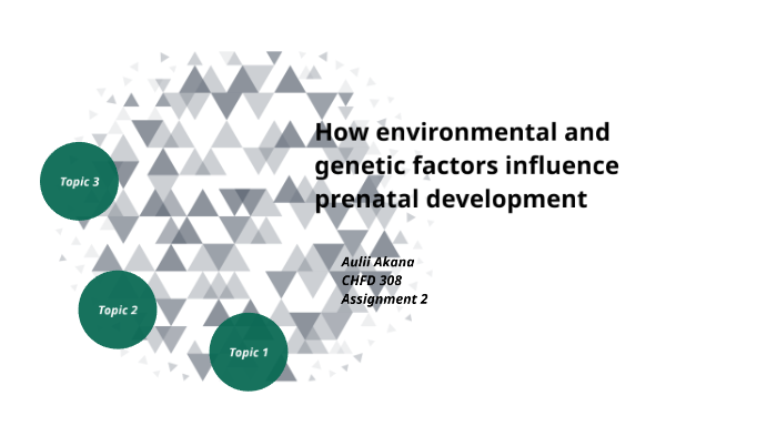 How Environmental And Genetic Factors Influence Prenatal Development By ...