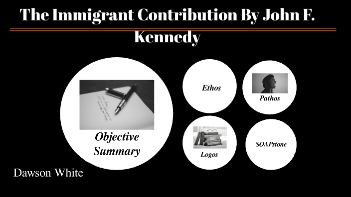 essay about the immigrant contribution