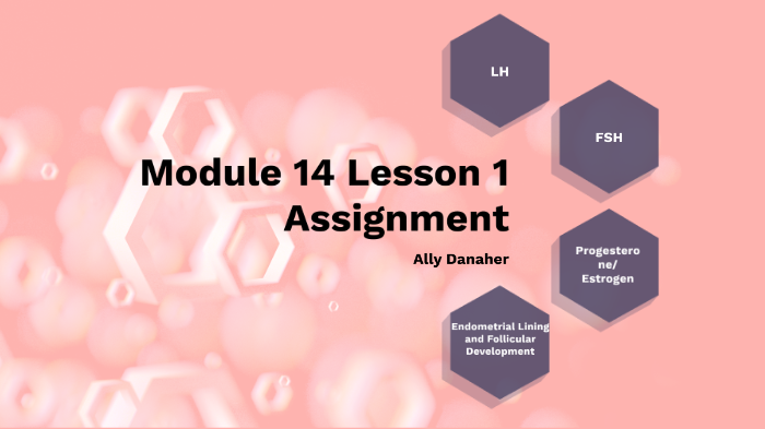 assignment module 14 review quiz