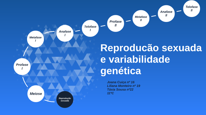Reprodução sexuada e variabilidade genética by Liliana Monteiro on Prezi
