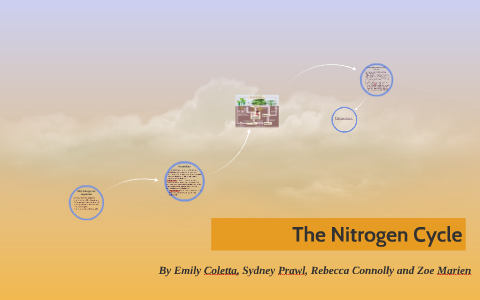 The Nitrogen Cycle by on Prezi