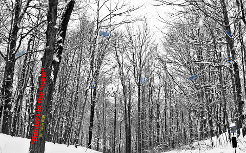 Hunters in the snow essay