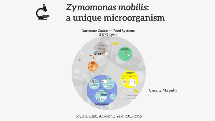 Improving Mobilization of Foreign DNA into Zymomonas mobilis