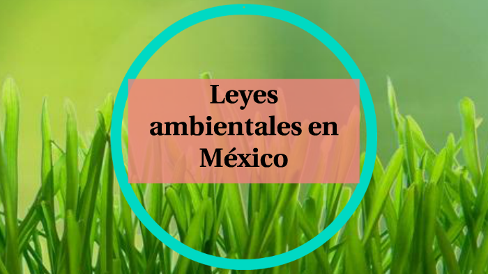 Leyes ambientales en Mexico by arthur la ri on Prezi