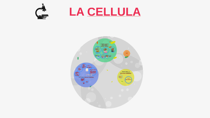 LA CELLULA by Aylin Andrea Treossi on Prezi