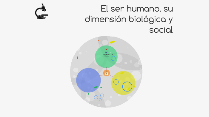 El Ser Humano Su Dimensión Biológica Y Social By Ale Palmrs On Prezi Next